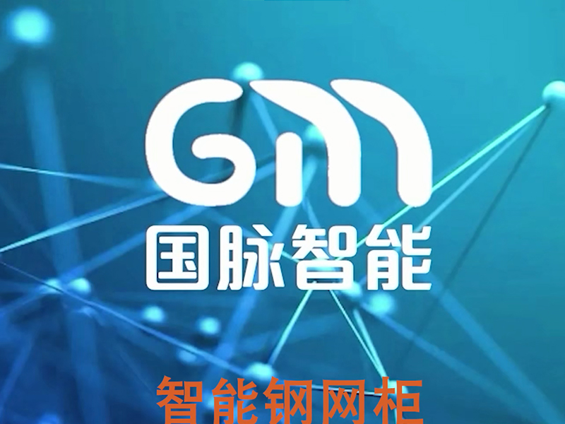 Intelligent steel mesh cabinet